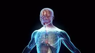 Pulsed Electromagnetic Field Therapy (PEMF)