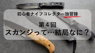 スカンジの定義に挑戦！