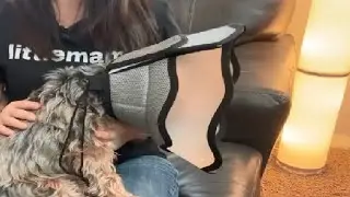 How Does The VavoPaw Soft Dog Cone Collar Work! High Quality