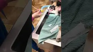 Skill 9 Esophageal Stethoscope