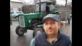 Dramat na rynku świń. 