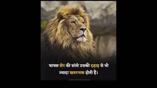 top 5 motivational quotes status#shorts #ak97 #status #089