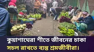 কুয়াশাঘেরা শীতে জীবনের চাকা সচল রাখতে ব্যস্ত শ্রমজীবীরা