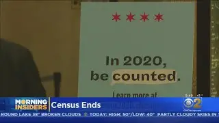 Chicago Reacts To Decision At Federal Level To End Census Early