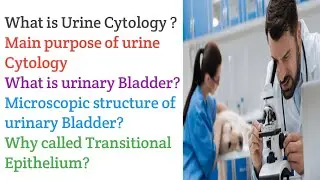 The Science of Pee: Understanding Urine Cytology