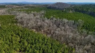 86.15 +/- Acres Vincent Shelby County Alabama Land For Sale 