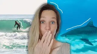 SREČANJE z MORSKIM PSOM 😬 | IRENIN SVET