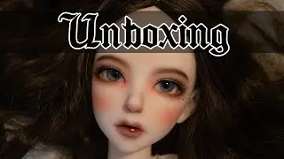 BJD Unboxing ⚜ Luts Senior Delf Chloe ⚜ BJD Chat