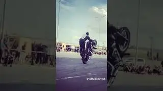 Дыбы на Харли! #fxr #fxrracing #fxracer #harleydavidson #stuntriding