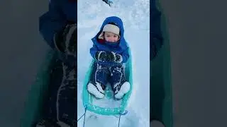 Miracle baby did sledding after the snow storm #shorts