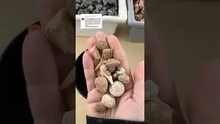 Let's Build a Crystal Mining Bucket! All Stones and Fossils are Authentic!