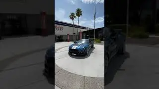 2020 GT500SE Bemaro Films Sneak Peak #3