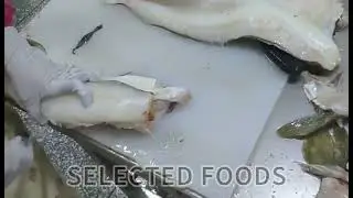Atlantic Cod Fillet Loin Portion   Selected Foods