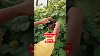 What if we release a baby monkey in the forest, let's see what it can do? #monkey #babymonkey #short