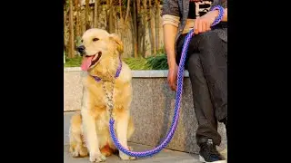 EDWIN DOUBLE STRAND DOG LEASH 1