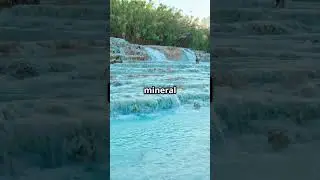 Florida's only natural warm Mineral Spring