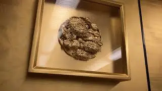 【側面展望】新大牟田駅〜新玉名駅