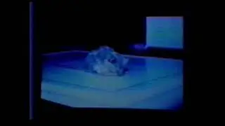 Diseases of Laboratory Rodents and Lagomorphs - Charles A  Montgomery - 1994