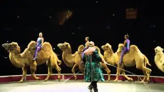 Ringling Bros. Presents Circus XTREME - Desert Goddesses & Camels!
