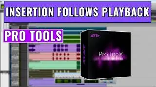 How to use Insertion Follows Playback in Pro Tools - OBEDIA.com Avid Pro Tools Training & Help