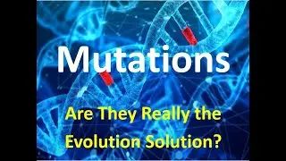 Are Mutations the Evolution Solution