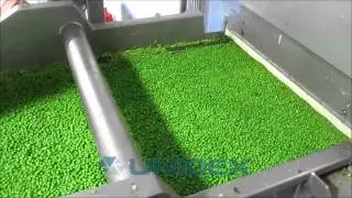 Unidex IQF Tunnel freezing green peas, Tunel zamrażalniczy Unidex zamrażanie zielonego groszku