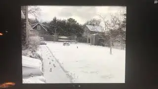 Converting a GIF for iMovie using Quicktime