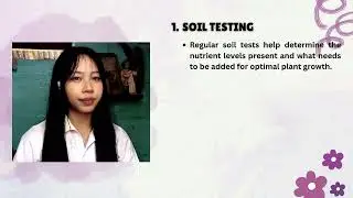 MINIMUM TILLAGE AND NUTRIENT MANAGEMENT 