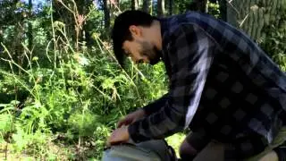 He who focuses only on the tree, fails to see the forest