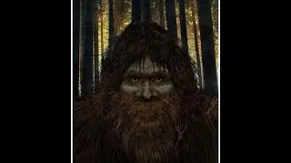 Sasquatch In Manchester UK