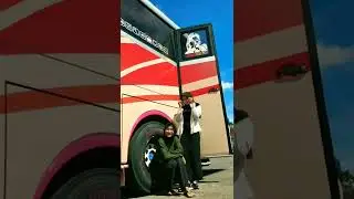 STORY WA BUS MURNI JAYA CEWE NYA CANTIK
