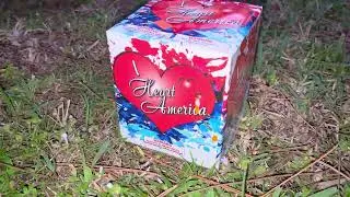 2025 New Years Firework setup