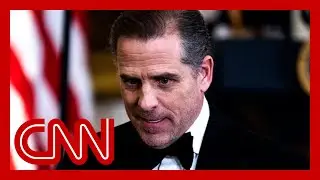Was Hunter Biden given a 'sweetheart deal'? Legal expert weighs in