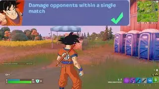 Damage opponents within a single match Fortnite