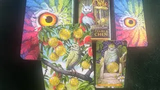 TAROT OF THE OWLS | Standard & Mini Version , Side By Side🦉