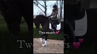 Equestrian dreams❤️👍 #equestrian  #equestrianvibes #equestrianlove #horseaddict #horsey