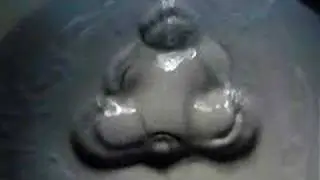 human body cymatic standing wave