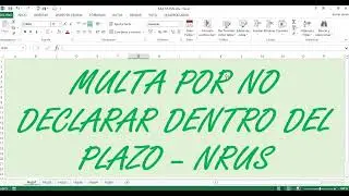 Multa por no declarar dentro del plazo - NRUS