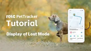 ROLA PetTracker | Display of Lost Mode