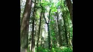 (c) b. w. stevenson - 'on my own' - road trip 2011
