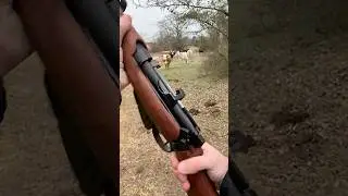 Short, Magazine, Lee-Enfield .303