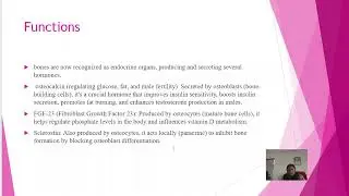 Skeleton System #biology