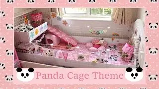 Panda Guinea Pig Cage Tour