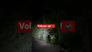 Bigfoot Vocalizations Recorded on Camera! |Communications Between Multiple Sasquatch
