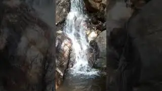 Yercaud Mini falls #waterfall #yercaud #salem #shorts #nature