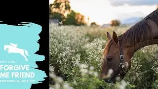 Forgive me friend || Equestrian Music Video