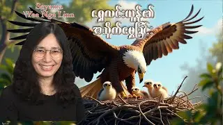 ရွှေလင်းယုန်၏အသိုက်မွှေခြင်း - Sayama Yee Nge Linn