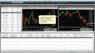 How to use Reverse Trade in Flash Trader