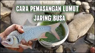 Cara Memasang Umpan Lumut Jaring / Busa