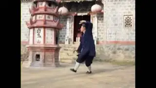 Five Dragons Patriarch L&uuml;'s Seven Stars Sword performed by Li Shifu.
